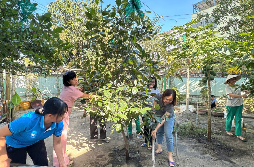  TRƯỜNG MẦM NON PHƯỚC THỊNH HƯỞNG ỨNG “TẾT TRỒNG CÂY” ĐẦU XUÂN