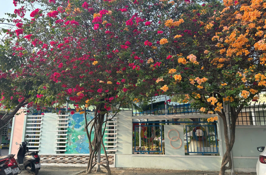  “Giữa sắc hoa và trái ngọt – Một Phước Thịnh đầy yêu thương”